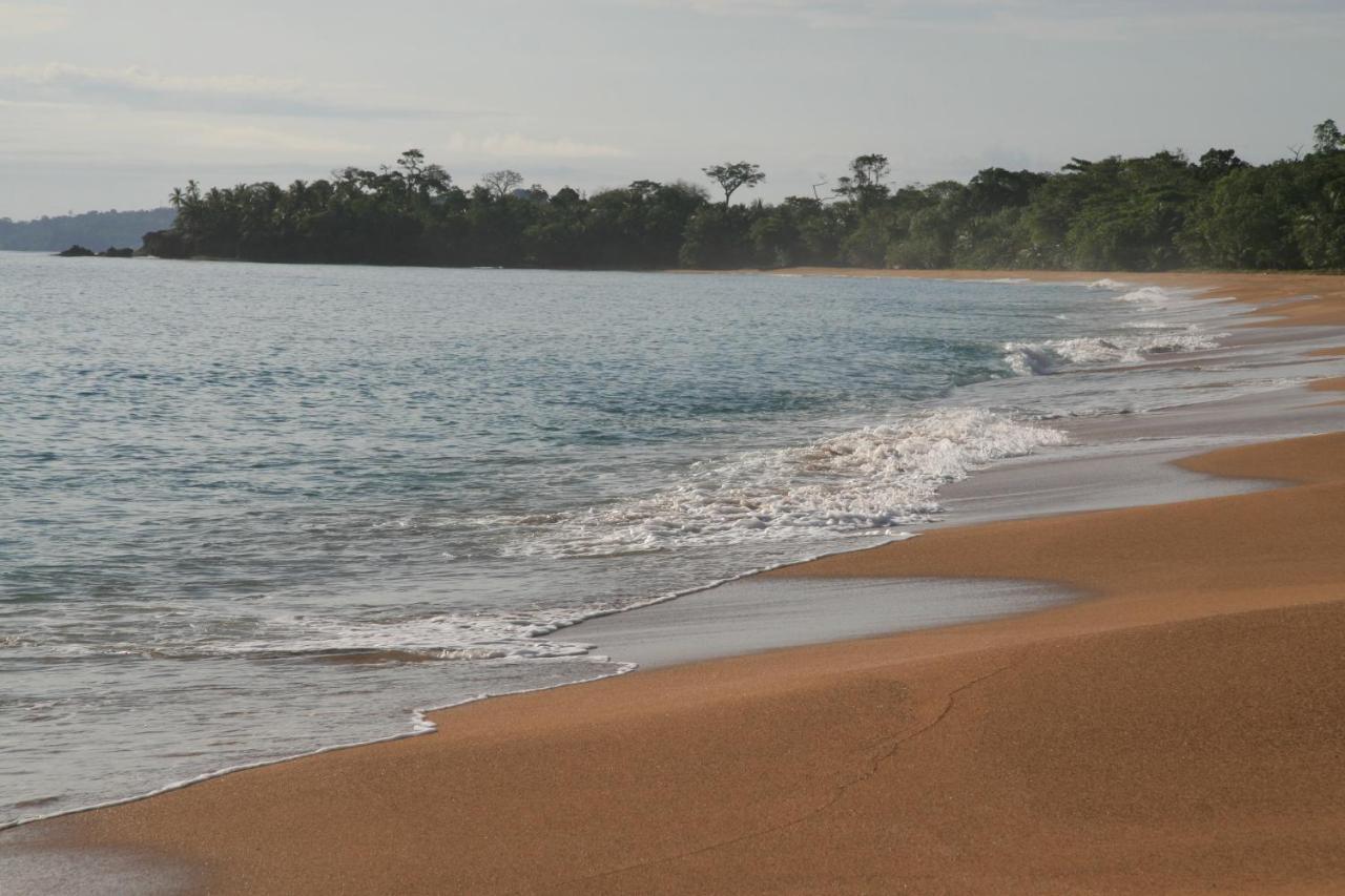 Bluff Beach Retreat Bocas del Toro Exterior photo