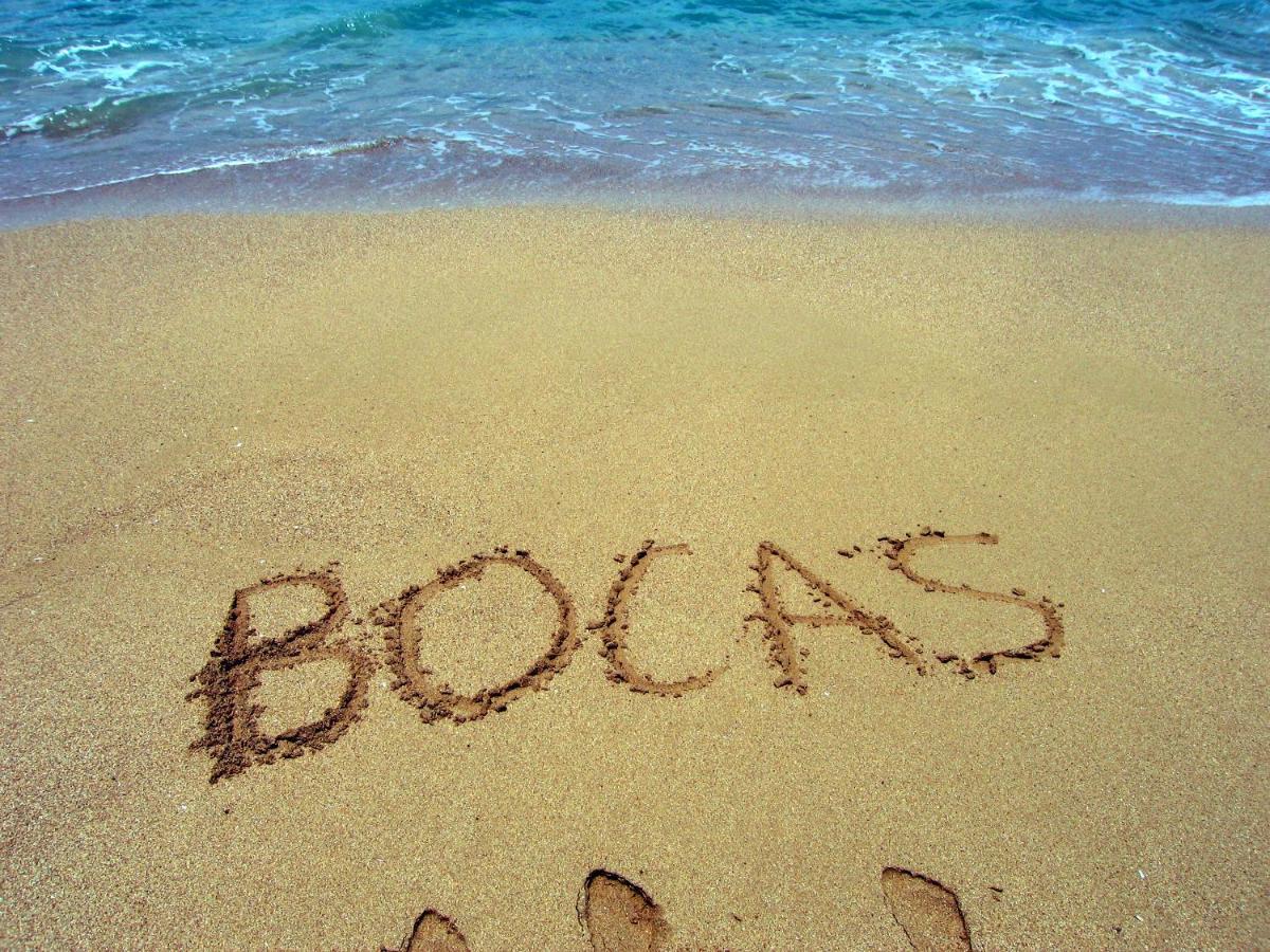 Bluff Beach Retreat Bocas del Toro Exterior photo