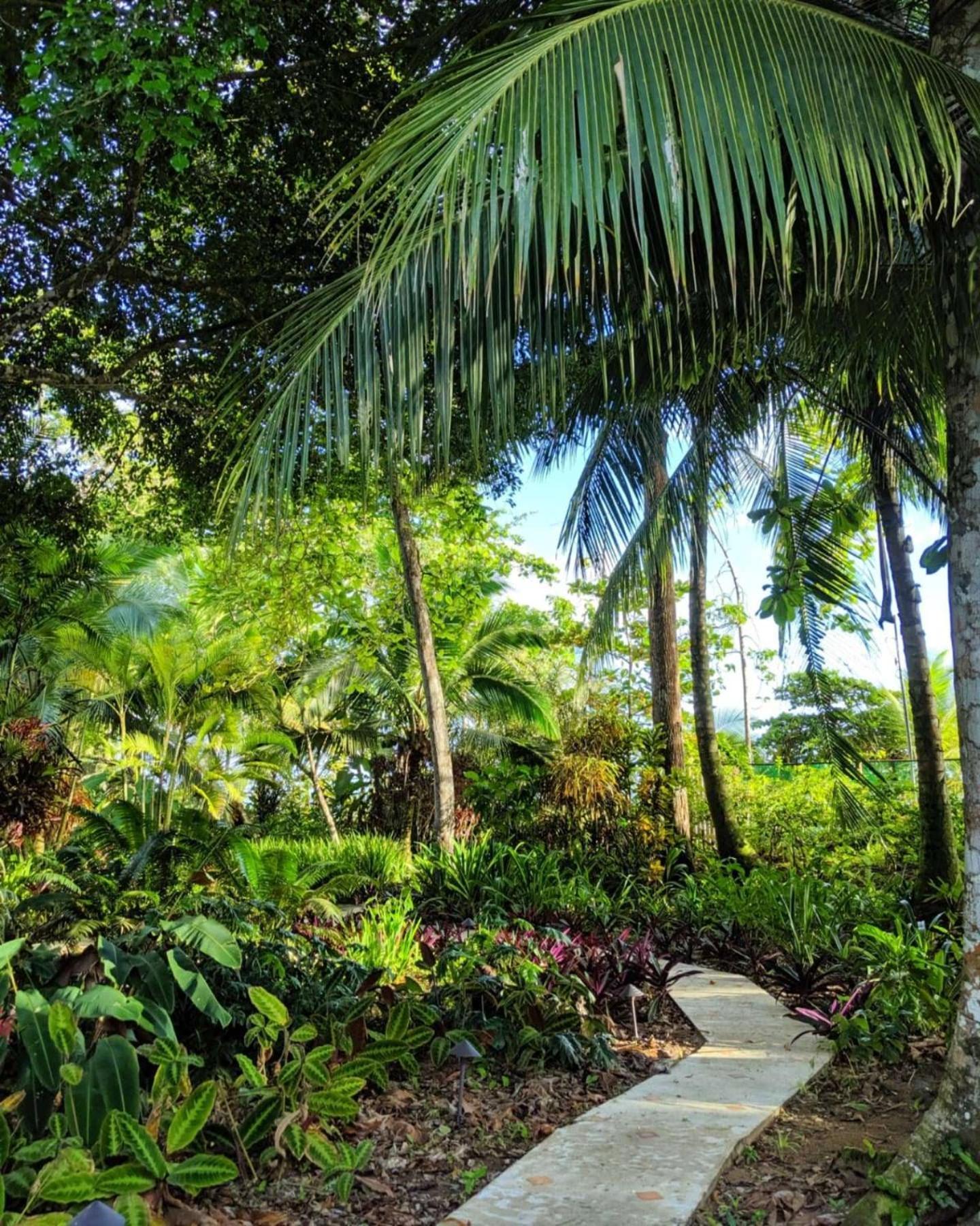 Bluff Beach Retreat Bocas del Toro Exterior photo