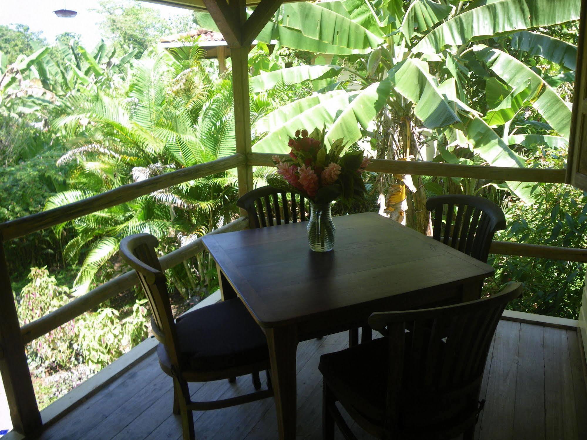 Bluff Beach Retreat Bocas del Toro Exterior photo