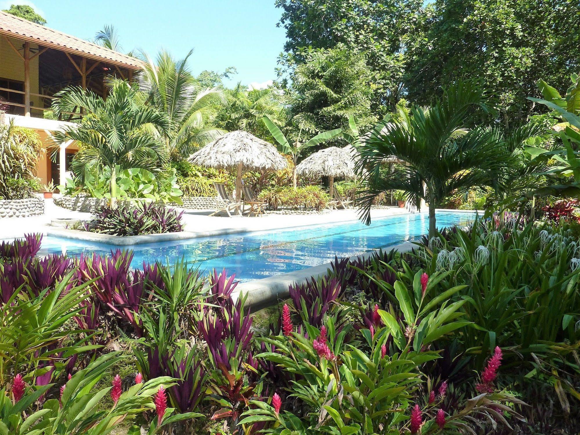 Bluff Beach Retreat Bocas del Toro Exterior photo