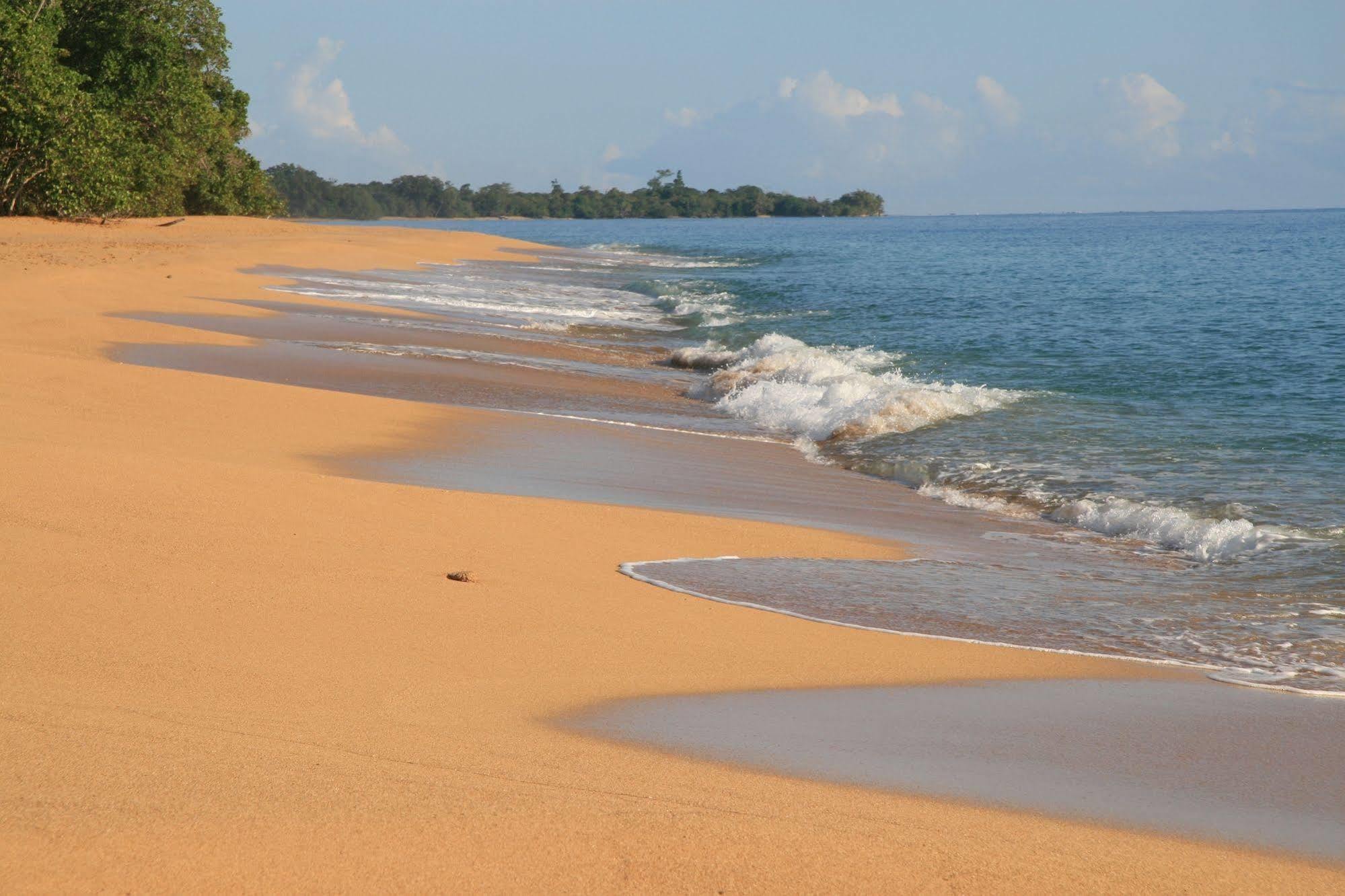 Bluff Beach Retreat Bocas del Toro Exterior photo